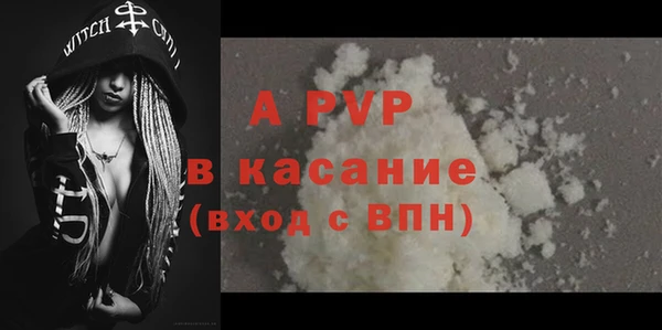 СК Елизово