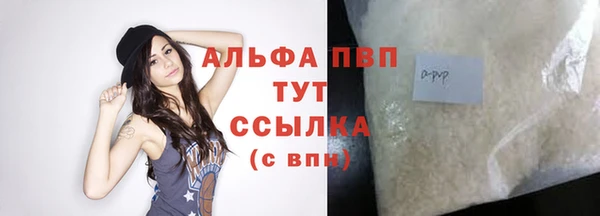СК Елизово