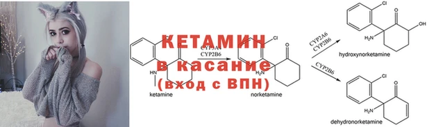 не бодяженный Ельня