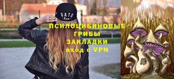 не бодяженный Ельня