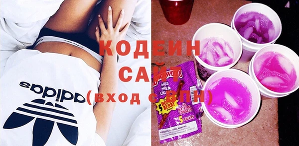 СК Елизово