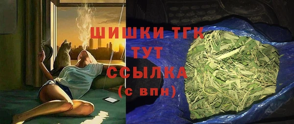 МДПВ Елабуга