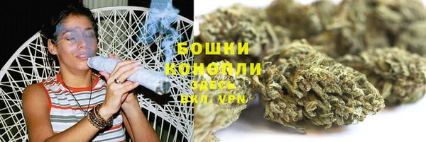 СК Елизово
