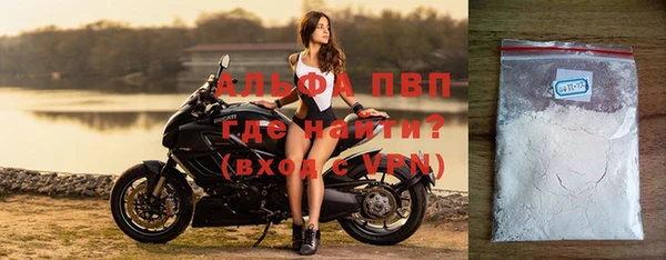СК Елизово
