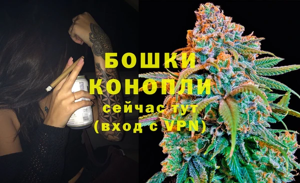 гидропоника Дмитров