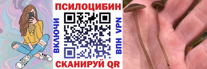 mega онион  Березники  Галлюциногенные грибы Cubensis 