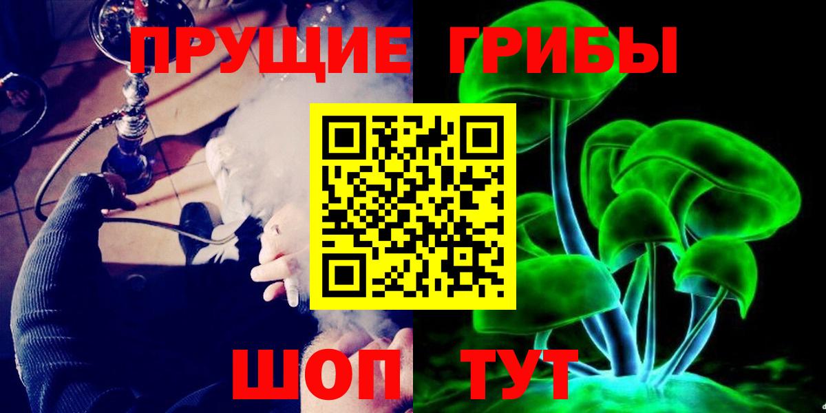 Галлюциногенные грибы Cubensis Березники