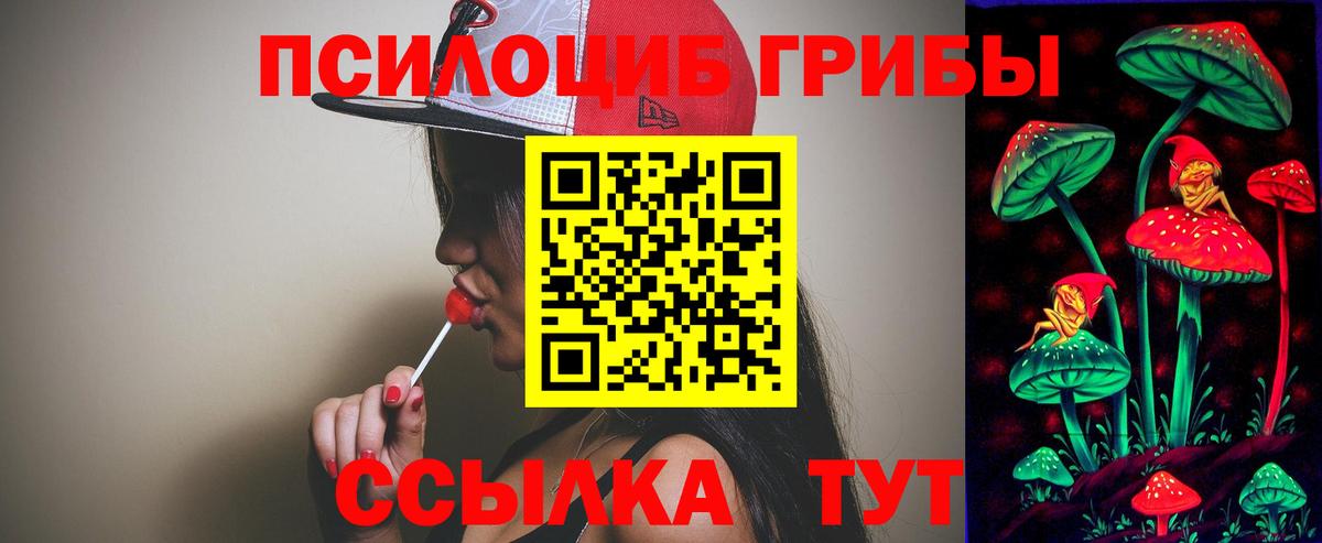 Псилоцибиновые грибы Psilocybine cubensis  Березники  Галлюциногенные грибы прущие грибы 